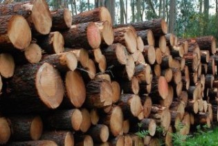 Vlade FBiH i RS-a usaglasile zabranu izvoza drvnih sortimenata iz BiH na dvije godine