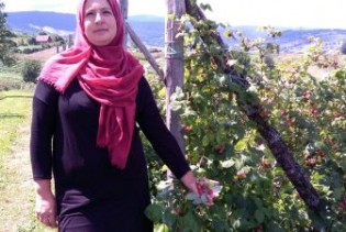 Amra Ugarak iz Bugojna: Malinarstvo na izdisaju, a uzgajivači ogorčeni