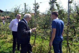 Mirjanić: Vlada će pomoći poljoprivrednicima u saniranju šteta od grada