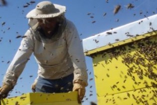 Podsticaj pčelarima za nabavku opreme