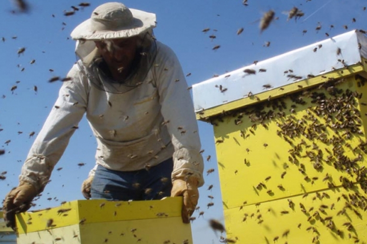 Sajam pčelarstva i pčelarske opreme 'Bee-fest' u Sarajevu