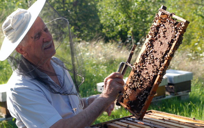 Safet Salković pet decenija druguje s pčelama: One su zlopamtila, ali i odlični meteorolozi