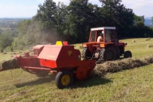 Kišno ljeto skratilo otkose, farmeri u strahu zbog manje količine sijena