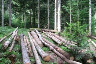 Srednjobosanske šume završile obnovu voznog parka i mehanizacije