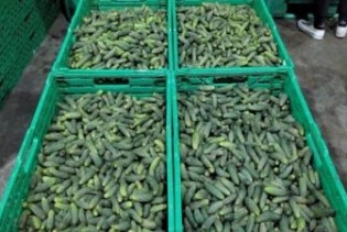 "Agrodar" u Krajini donosi pozitivne vijesti: Poljoprivrednici prepoznaju nove prilike