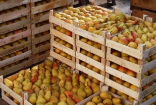 'Linija voća' iz Brčkog povećala proizvodnju i broj zaposlenih