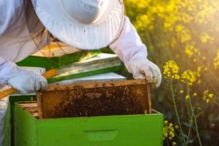 U Bihaću održan Kongres o pčelarstvu