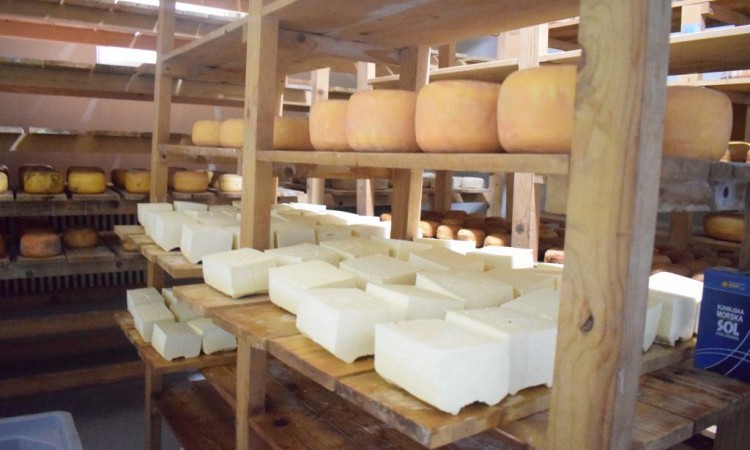 Smajić: Tešanjski zlatni sir sazrijeva 15 mjeseci, kupci znaju da vrijedi čekati