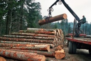 'Hercegbosanske šume' ostvarile najbolji rezultat u posljednjih pet godina