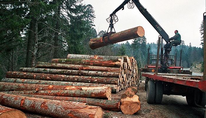 Potpisani petogodišnji ugovori "Šuma Srpske" i drvoprerađivača