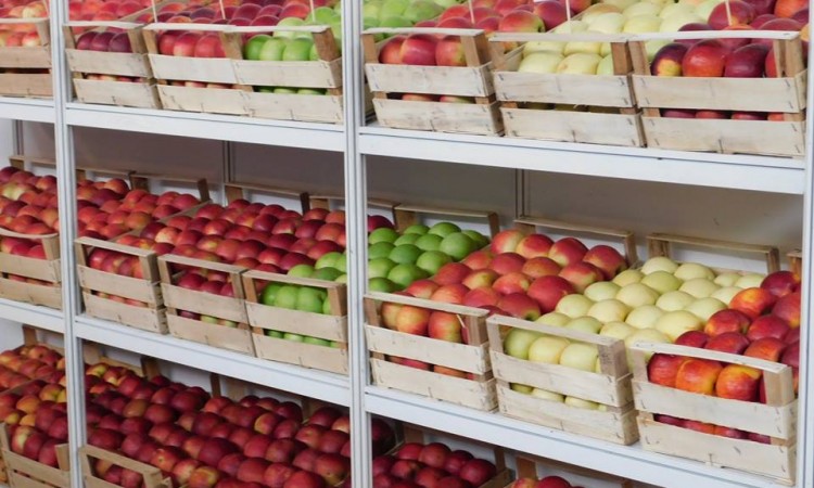 Na sajmu 'Dani jabuke' dodijeljena priznanja za kvalitet proizvoda