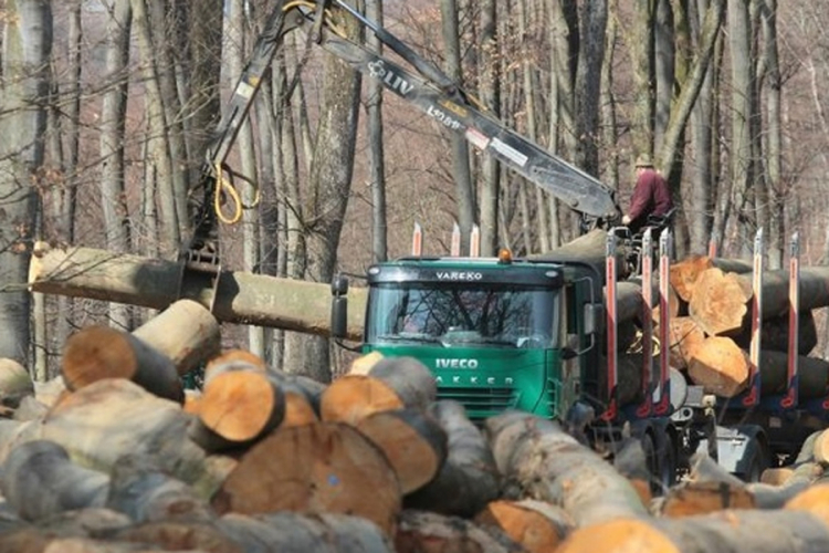 Drvoprerađivači iz Ribnika: Obustava isporuke drveta ugrožava naš rad