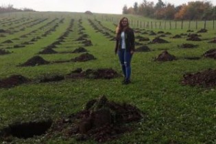 Nakon studija u Njemačkoj dolazi u BiH i pokreće posao