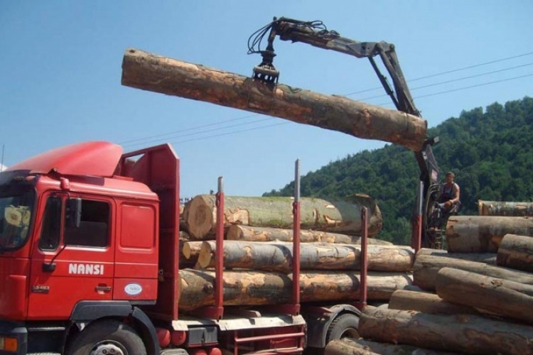 Veća proizvodnja šumskih sortimenata, manja prodaja