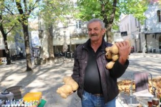 Džinovski krompir stigao do trebinjske pijace