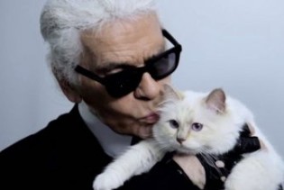 Bogatstvo Karla Lagerfelda mogla bi naslijediti njegova mačka Choupette