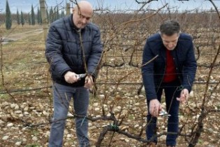 Sveučilište u Mostaru ulazi u proizvodnju eko-hrane