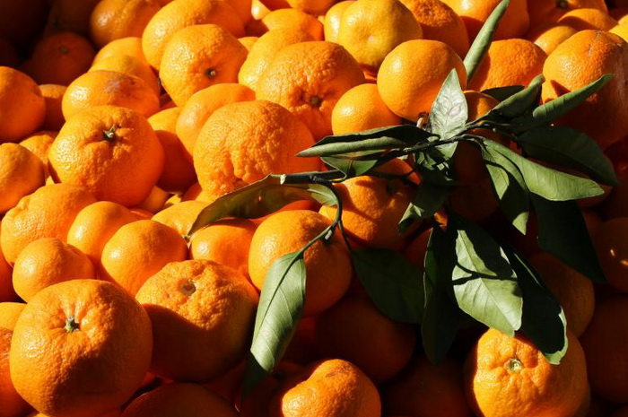 Spornih mandarina iz Turske nema u Crnoj Gori