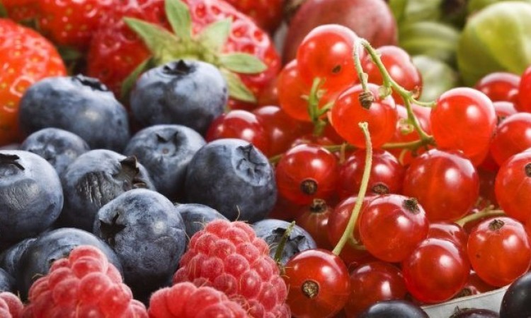 USAID/Sweden FARMA II nastavlja podršku proizvođačima jagodastog voća širom BiH