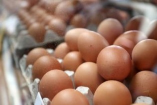 Iz BiH izvezene prve količine konzumnih jaja na tržište Evropske unije
