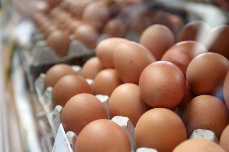 Izvoz jaja iz Hrvatske porastao skoro 133 odsto