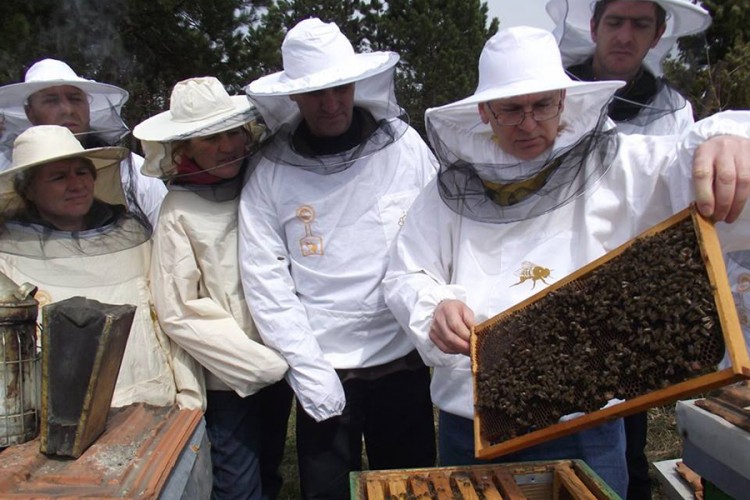 Loše vrijeme ugrozilo pčelarsku proizvodnju u USK: Med sve gorči