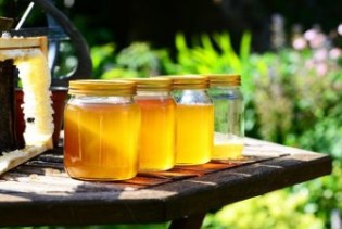 Na jedan kilogram meda izvezenog iz BiH, uvezemo 14,5 kilograma
