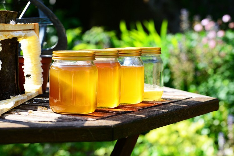 Trebinje: Pčelari negoduju zbog niskih cijena meda u marketima