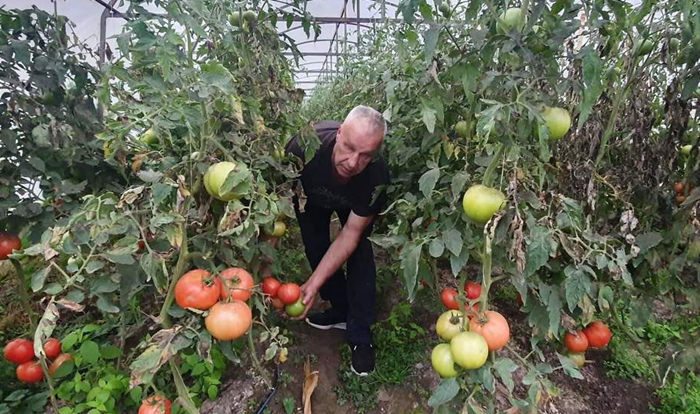 Sudo Forto, poljoprivrednik iz Goražda: Jedemo otpad, a imamo najbolji kvalitet hrane