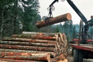 Nedostatak sirovine jedan od gorućih problema drvoprerađivača