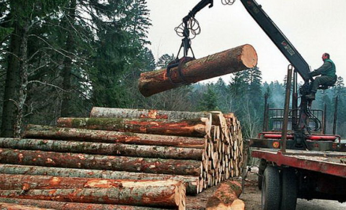 Proizvodnja šumskih sortimenata u FBiH u 11 mjeseci smanjena za 2,2, a prodaja za 2,5 posto