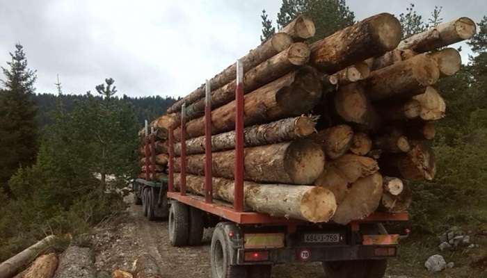 Poreskim olakšicama stimulirati izvoznike u drvopreradi