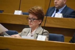 Vidović: Povećati stopu PDV-a na luksuznu robu