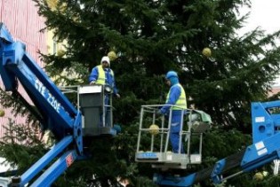 HGK: Sav izvoz božićnih drvaca ide nam u BiH