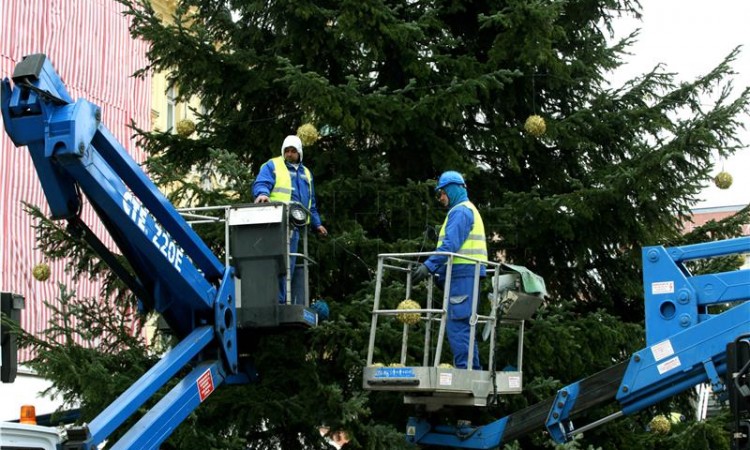 HGK: Sav izvoz božićnih drvaca ide nam u BiH