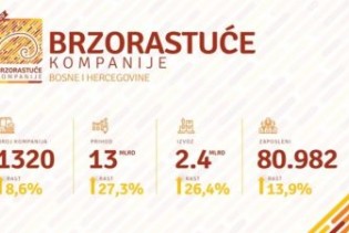 U BiH prošle godine 1.320 firmi ostvarilo 13 milijardi KM prihoda