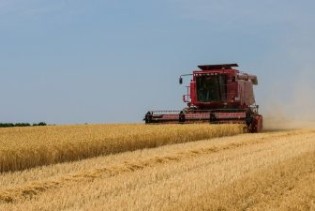 Svjetske cijene hrane nastavile rasti u januaru