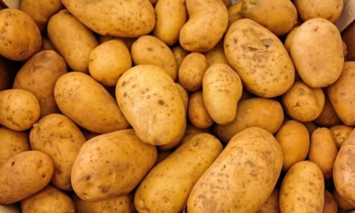 Zabranjen uvoz 27 tona krompira u BiH