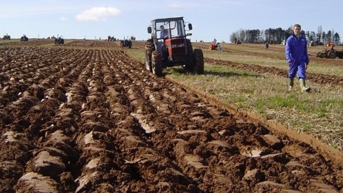 Projekt EU4AGRI - Info sesija o javnom pozivu za podršku poljoprivredi u BiH