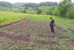 Osigurana pomoć za pokretanje poljoprivredne proizvodnje u četiri bh. općine