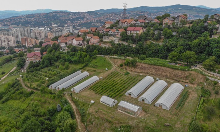 Općina Novi Grad objavila poziv za podsticaje u poljoprivredi