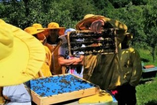 USAID FARMA II - Znanje je ključno za pčelarstvo