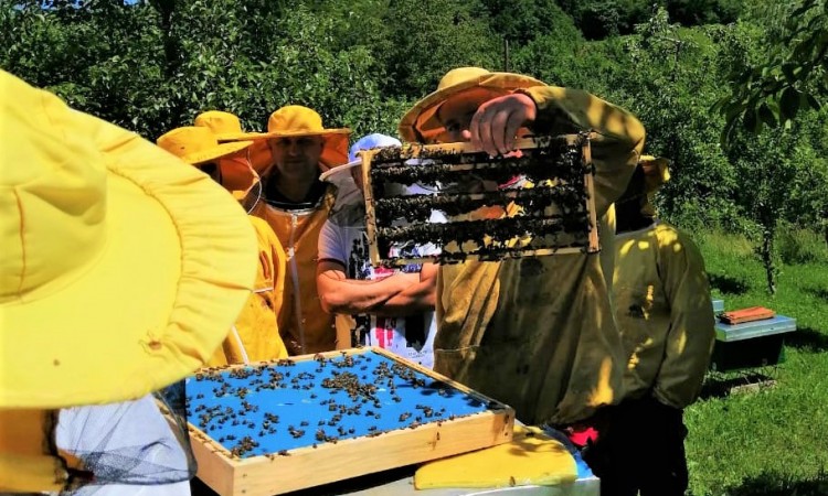 USAID FARMA II - Znanje je ključno za pčelarstvo