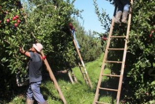 Korona potražnju za sezoncima skresala za 90%