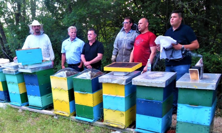 Bh. pčelari počinju sa proizvodnjom pčelinjeg otrova za upotrebu u farmaceutskoj industriji