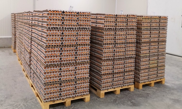Sweden/USAID FARMA II - Bosanskohercegovački proizvođači jaja postaju neovisniji