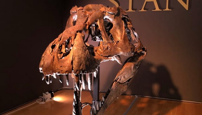 Skelet Tyrannosaurus Rexa prodat za rekordnih 31,8 miliona dolara