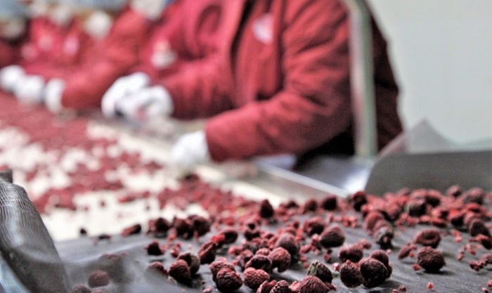 Projekt FARMA II: Proizvodnja jagodičastog voća u Podrinju postaje profitabilnija