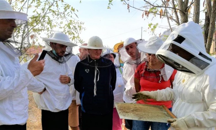 Mladi i žene iz Trebinja počinju se baviti pčelarstvom