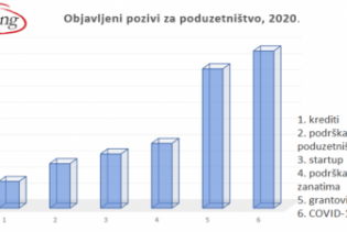 Briefing analiza: Finansiranje poduzetništva u BiH tokom 2020. godine